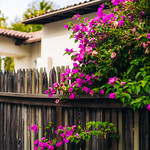 Flickr photo 11102023-VelocityInvitational-2482