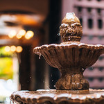 Flickr photo 11102023-VelocityInvitational-2530