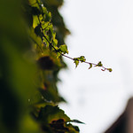 Flickr photo 11102023-VelocityInvitational-2507