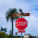 Flickr photo 11102023-VelocityInvitational-2553