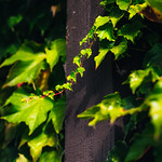 Flickr photo 11102023-VelocityInvitational-2490