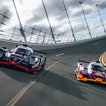 Flickr photo ROAR_012124-25180