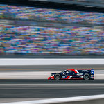 Flickr photo ROAR_012024-23319