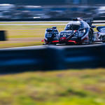 Flickr photo ROAR_012024-5815