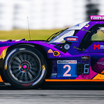 Flickr photo ROAR_012024-5849