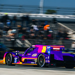 Flickr photo ROAR_012024-6141