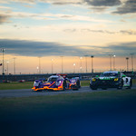 Flickr photo ROAR_011924-22329