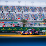 Flickr photo ROAR_011924-21603