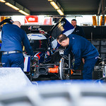 Flickr photo ROAR_011824-1882