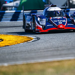 Flickr photo ROAR_012024-6563