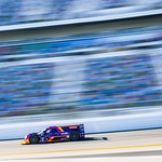 Flickr photo ROAR_012024-6976