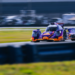 Flickr photo ROAR_012024-5792