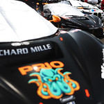 Flickr photo 95-7B1A3767