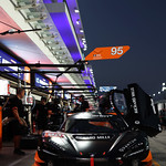 Flickr photo 95-7B1A8596