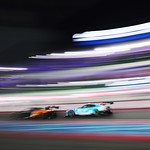 Flickr photo 95-7B1A0951