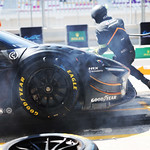 Flickr photo UA_7B1A9513