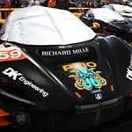 Flickr photo 59-7B1A3772