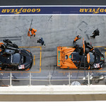 Flickr photo 95-0Q3A8003