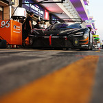 Flickr photo 95-7B1A8115