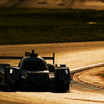 Flickr photo 21-DSC_3648