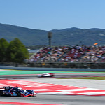 Flickr photo 21-DSC_0255