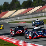 Flickr photo 21-DSC_1223