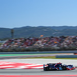 Flickr photo 21-DSC_0257