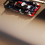 Flickr photo 21-7B1A7641