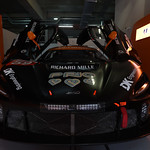 Flickr photo 59-0Q3A0323