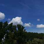 Flickr photo 95-DSC_4888