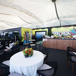 Flickr photo UA-7B1A9548