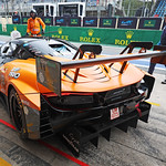 Flickr photo 95-0Q3A8384