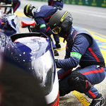 Flickr photo 22-1MDH8819