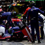 Flickr photo 22-1MDH5478