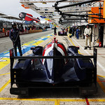 Flickr photo 22-7B1A8131