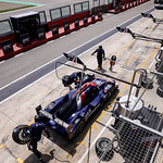 Flickr photo 22-2MDH8351