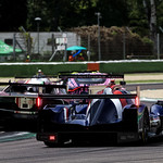 Flickr photo 22-1MDH6254