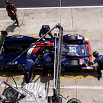 Flickr photo 23-2MDH8396