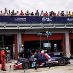 Flickr photo 21-2MDH7454