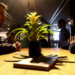 Flickr photo UA-2MDH4040