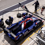 Flickr photo 22-2MDH8356