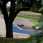 Flickr photo 23-1MDH9816