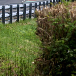 Flickr photo 22-1MDH5191