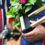 Flickr photo UA_7B1A0204