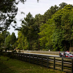 Flickr photo 22-1MDH8373