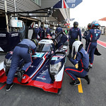 Flickr photo 21-DLP51276