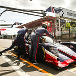 Flickr photo 21-A27I6516