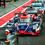 Flickr photo 22-A27I8376