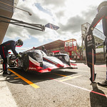 Flickr photo 23-A27I6567