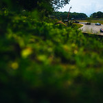 Flickr photo Road America IMSA 2024